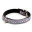 Accessori animali