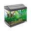 Acquario